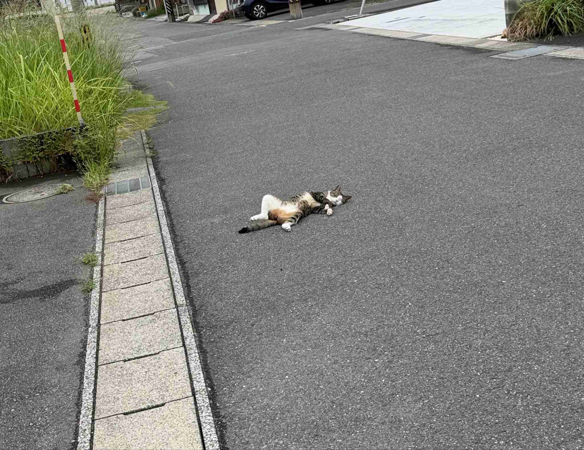 芸能人以外の「推し」