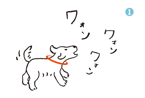 イオンで知っておいたほうが良い事