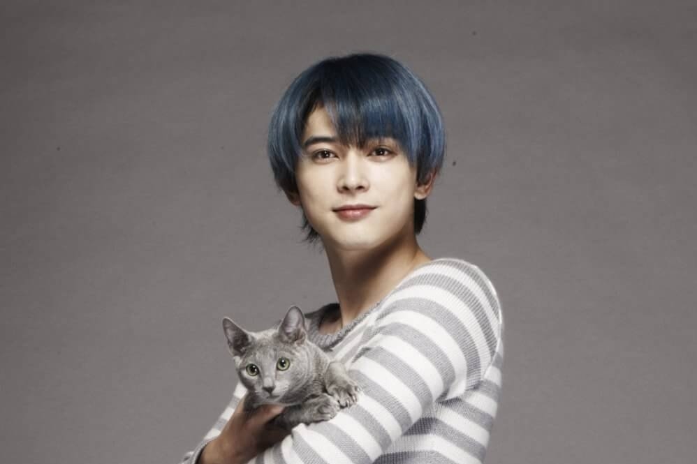 【教えて】猫好きイケメン有名人