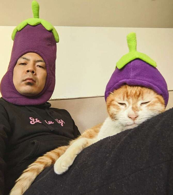 【教えて】猫好きイケメン有名人