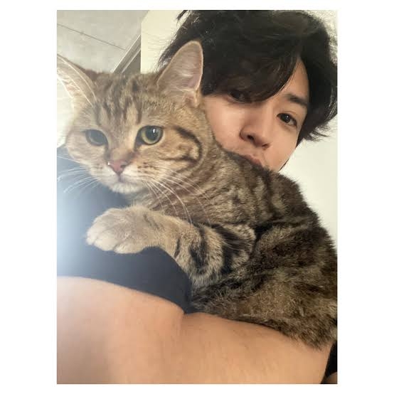 【教えて】猫好きイケメン有名人
