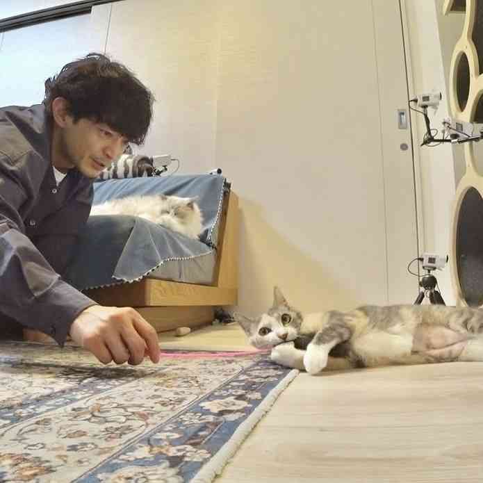 【教えて】猫好きイケメン有名人