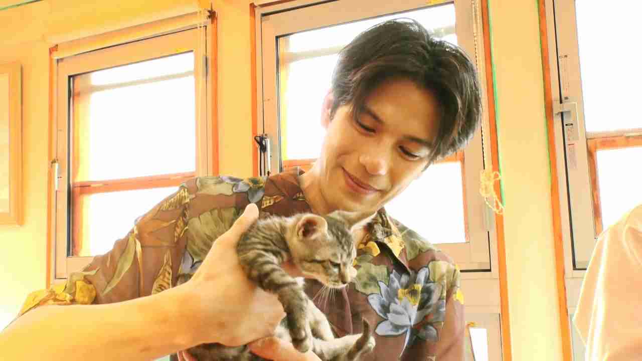 【教えて】猫好きイケメン有名人