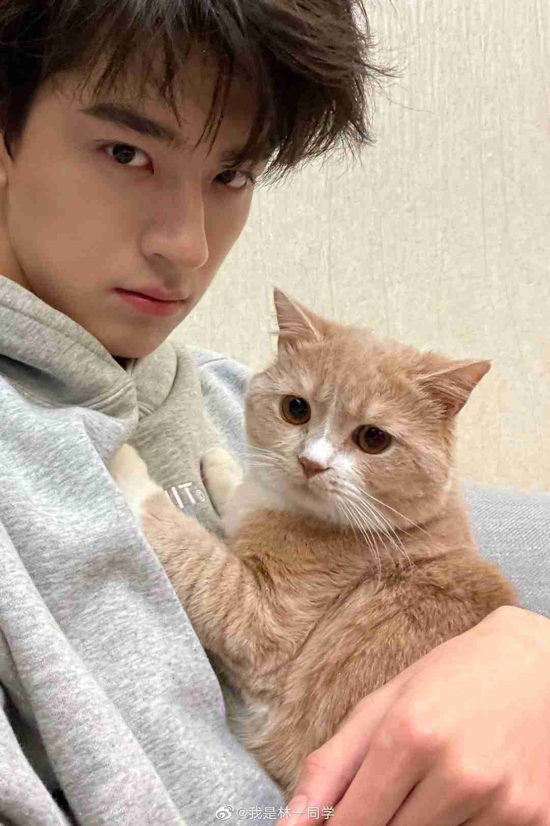 【教えて】猫好きイケメン有名人
