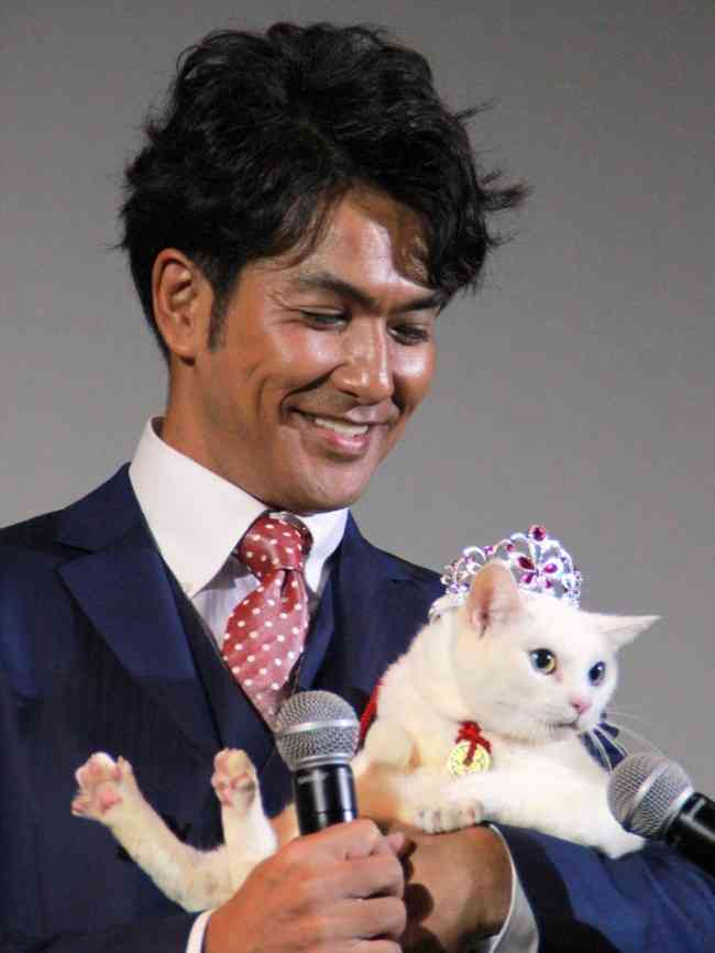 【教えて】猫好きイケメン有名人