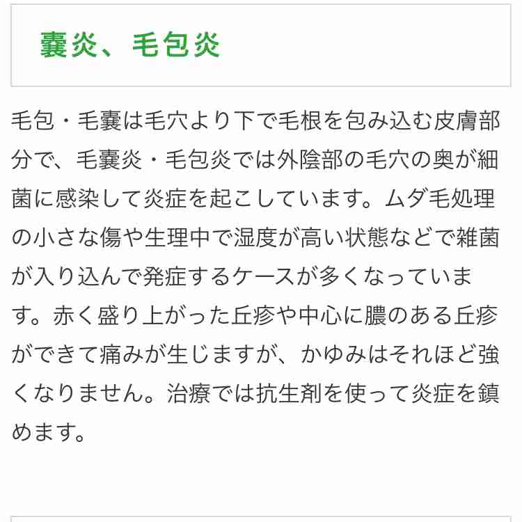 【アダルト】雑談part5