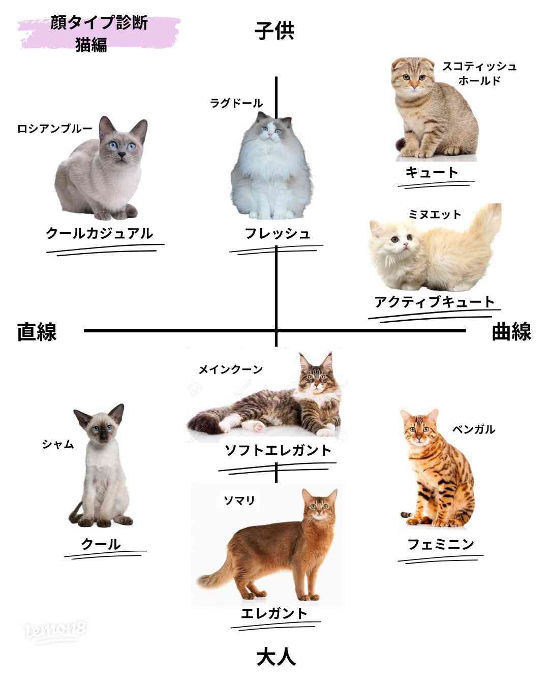 猫ちゃんねるに立ちそうなトピ