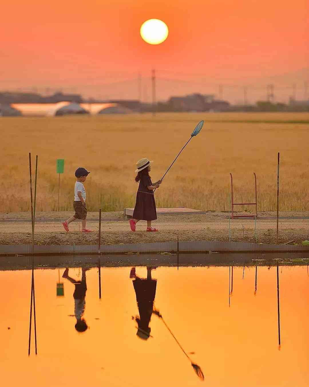 夏の終わりを感じる画像を貼るトピ パート2