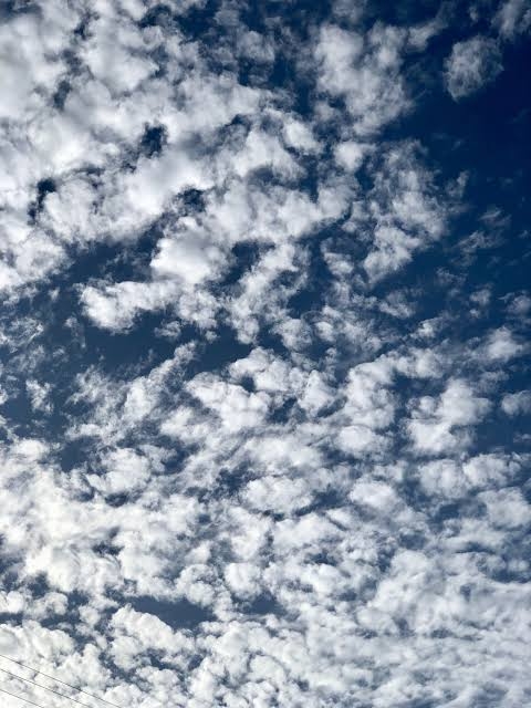 夏の終わりを感じる画像を貼るトピ パート2