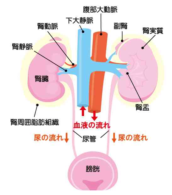 【本気で】ノーベル賞ものの研究を考えよう