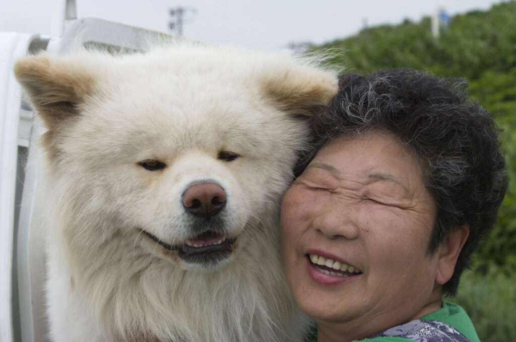 可愛すぎて話題になった動物