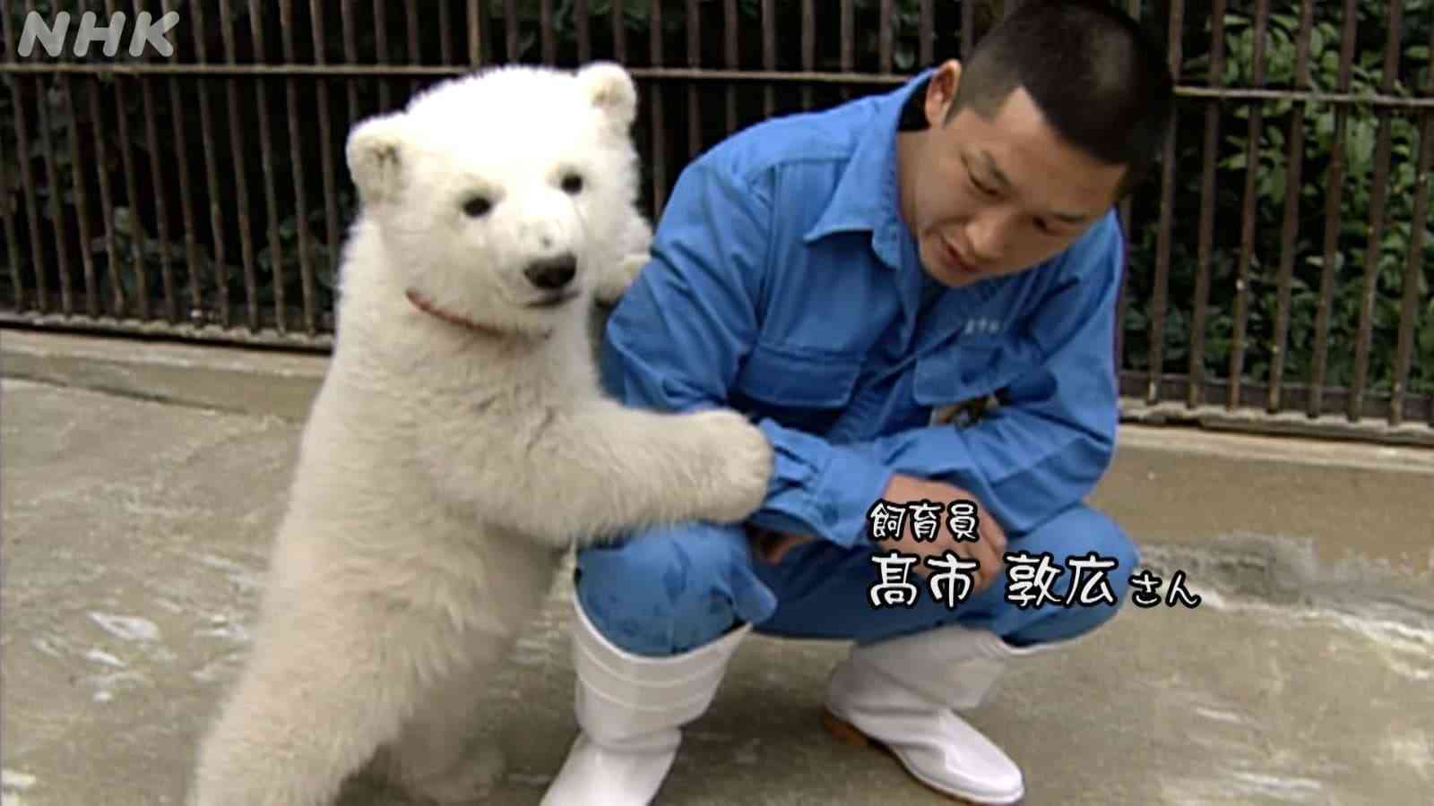 可愛すぎて話題になった動物