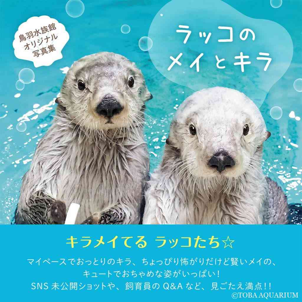 可愛すぎて話題になった動物