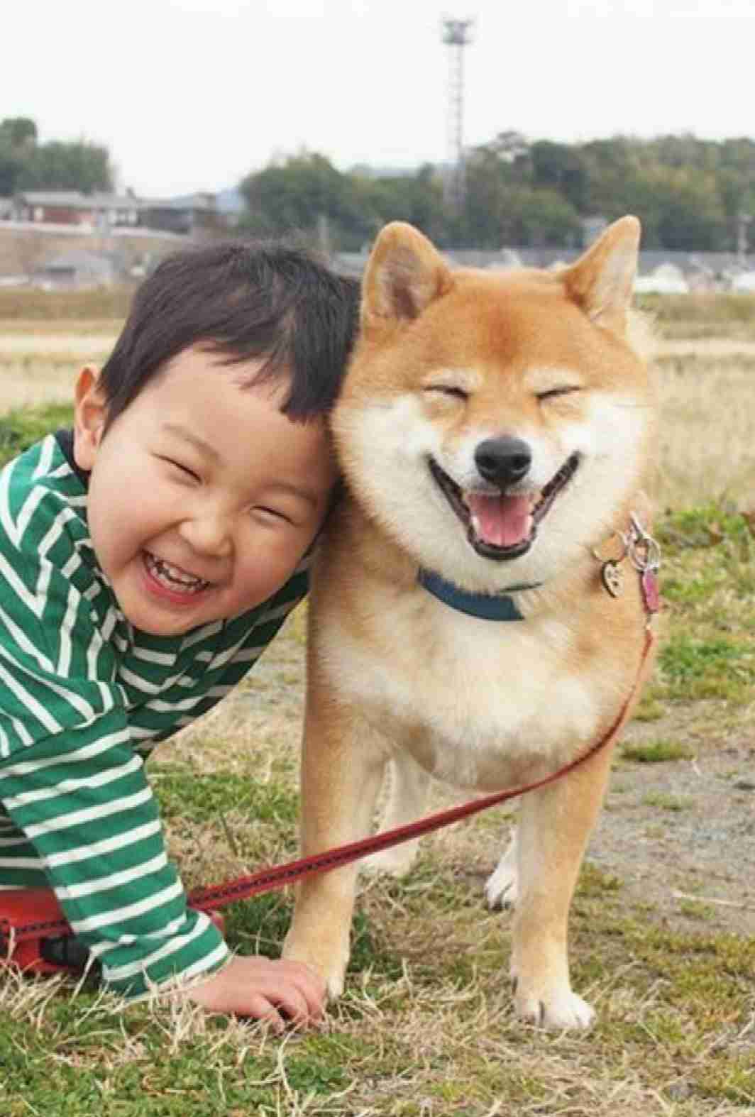 笑う動物たち