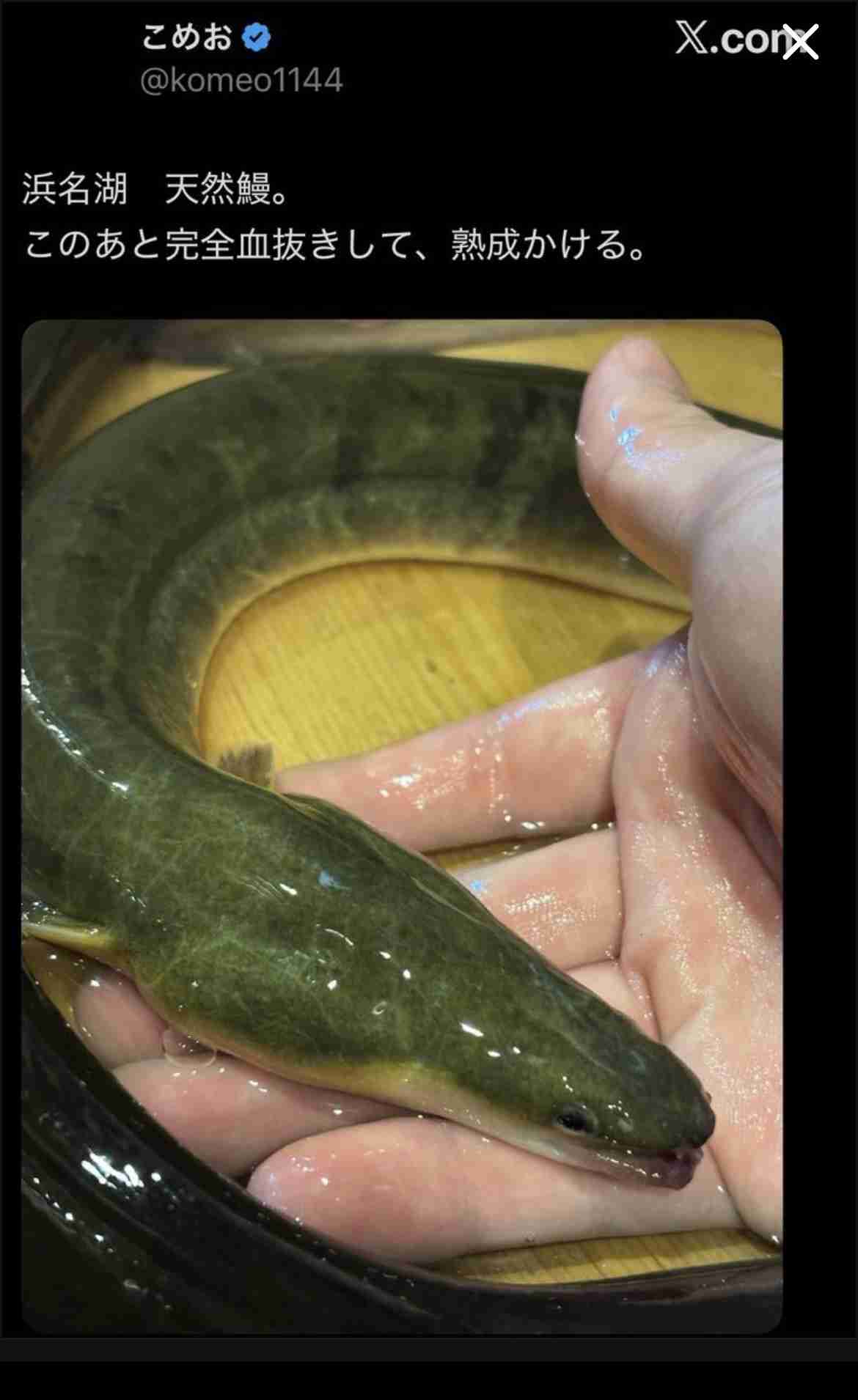麻布十番まつりの食中毒はサルモネラ属菌と断定　「割烹こめを」に7日間の営業停止命令　こめおは謝罪