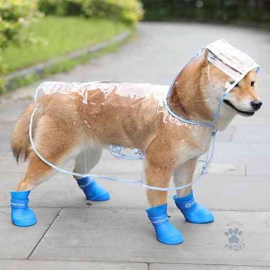 【台風】ペットはどうしてますか？