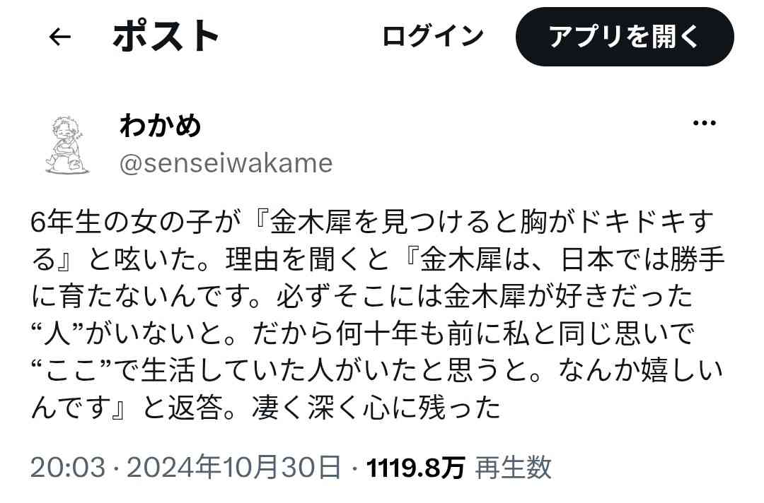 秋がキター!