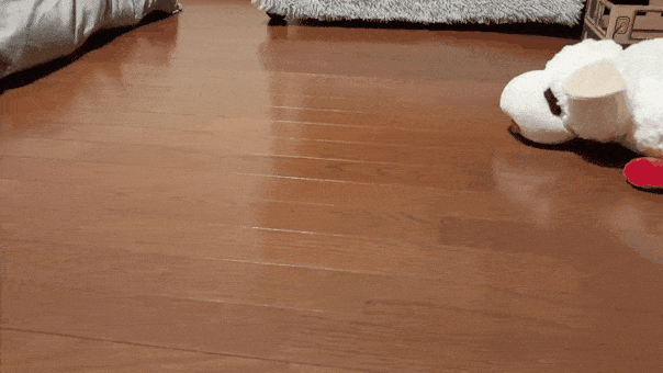 がるちゃん猫カフェ125号店開店しました♪(初めての方も大歓迎♪)