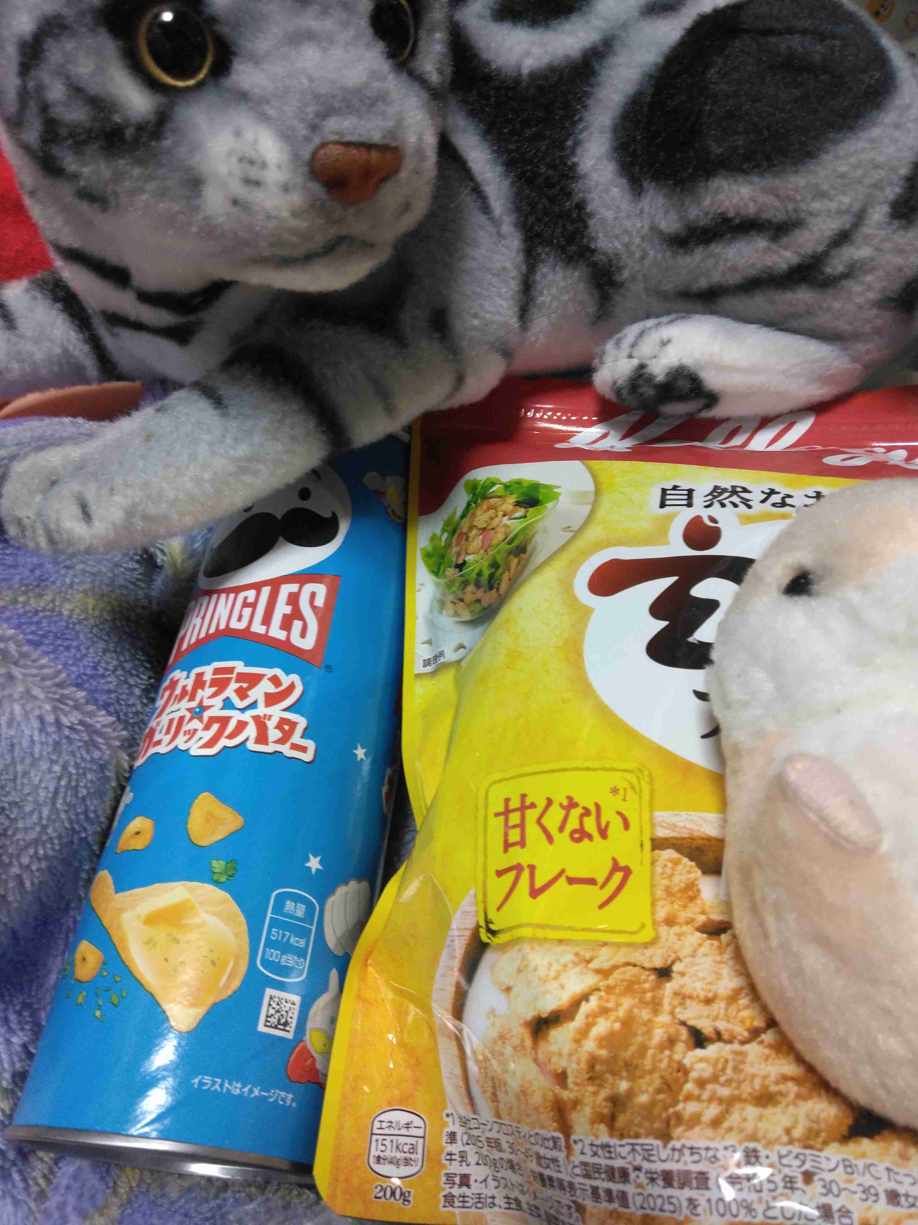 がるちゃん猫カフェ125号店開店しました♪(初めての方も大歓迎♪)