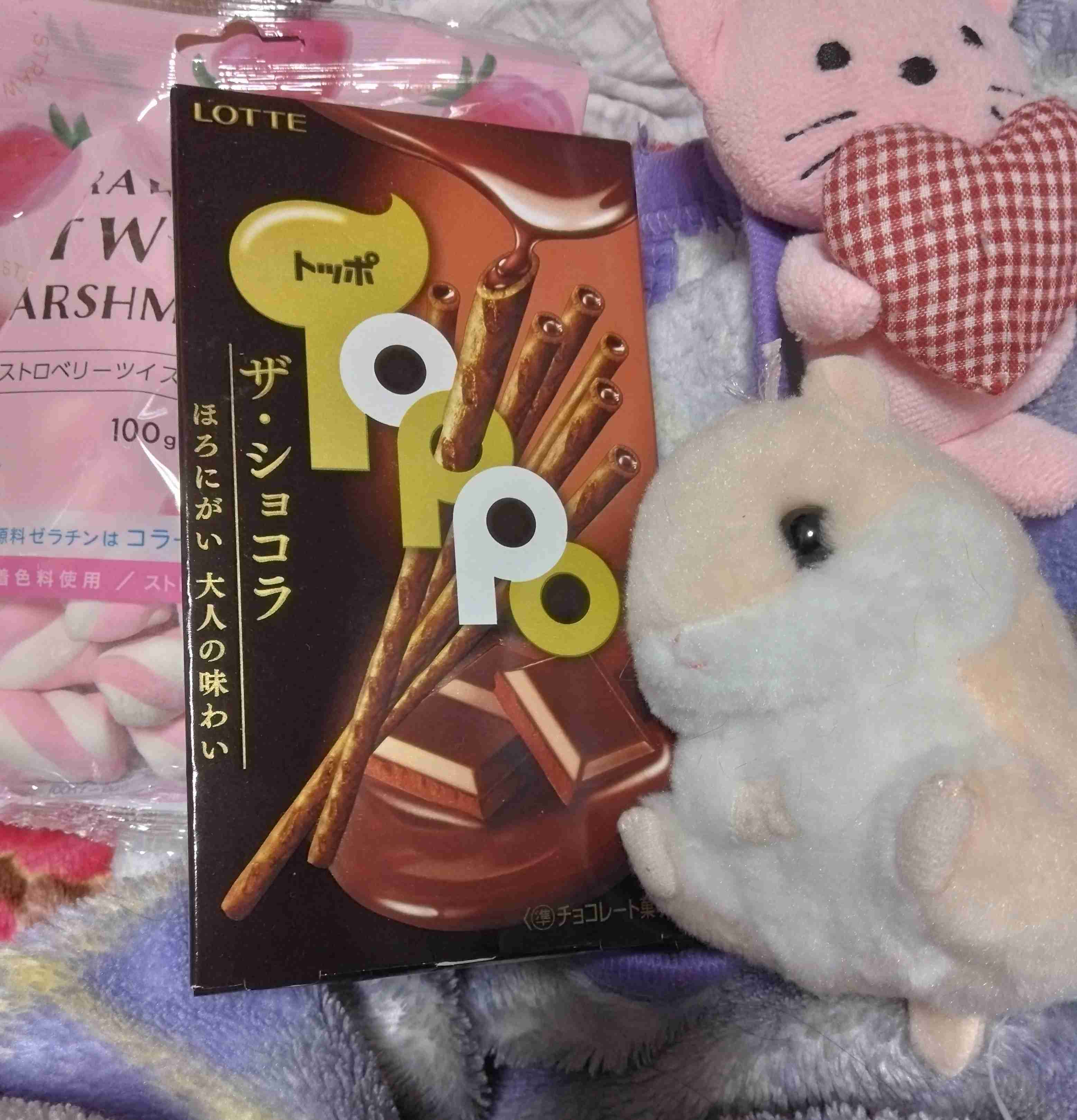 がるちゃん猫カフェ125号店開店しました♪(初めての方も大歓迎♪)