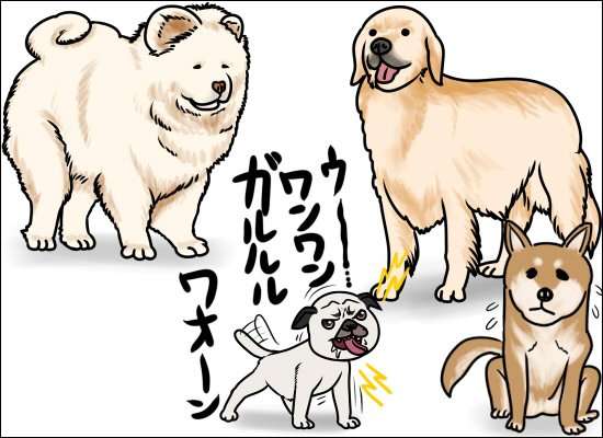 男の理解できないところ