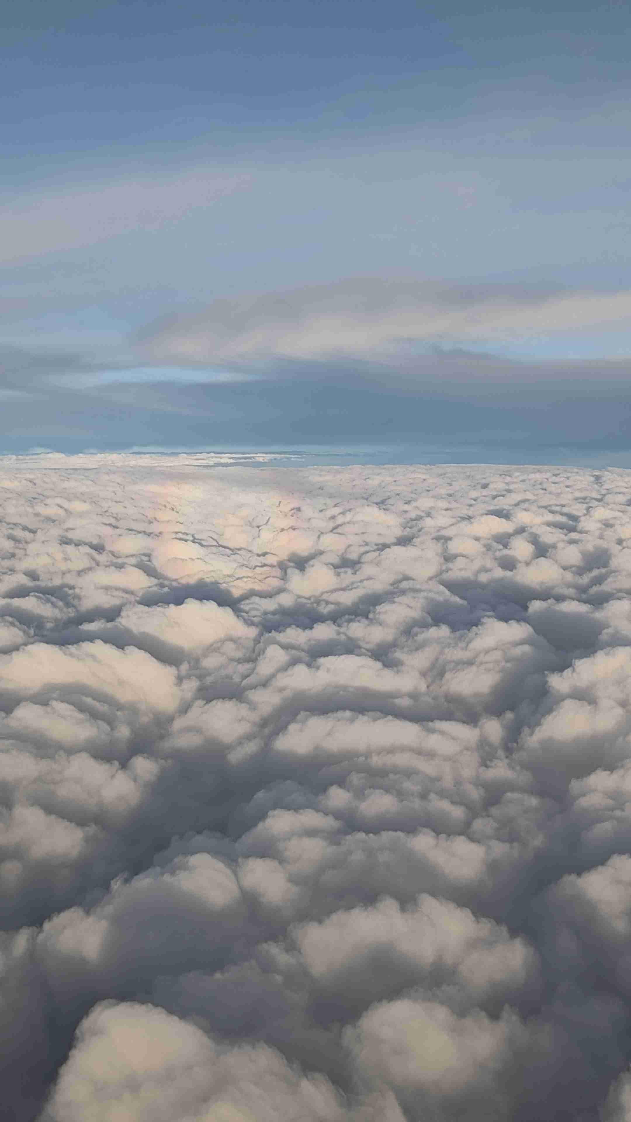 飛行機の好きなところ✈︎
