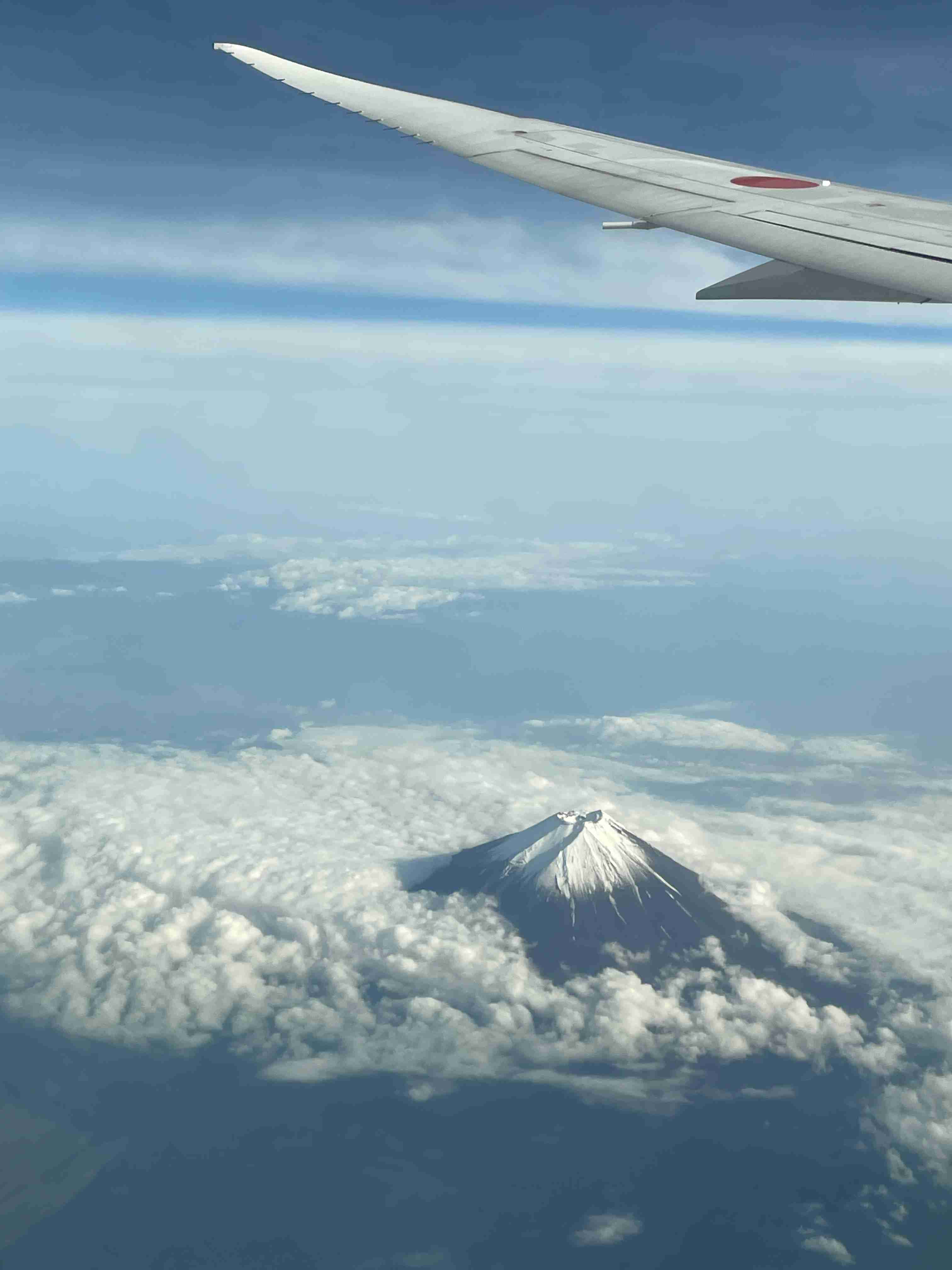 飛行機の好きなところ✈︎