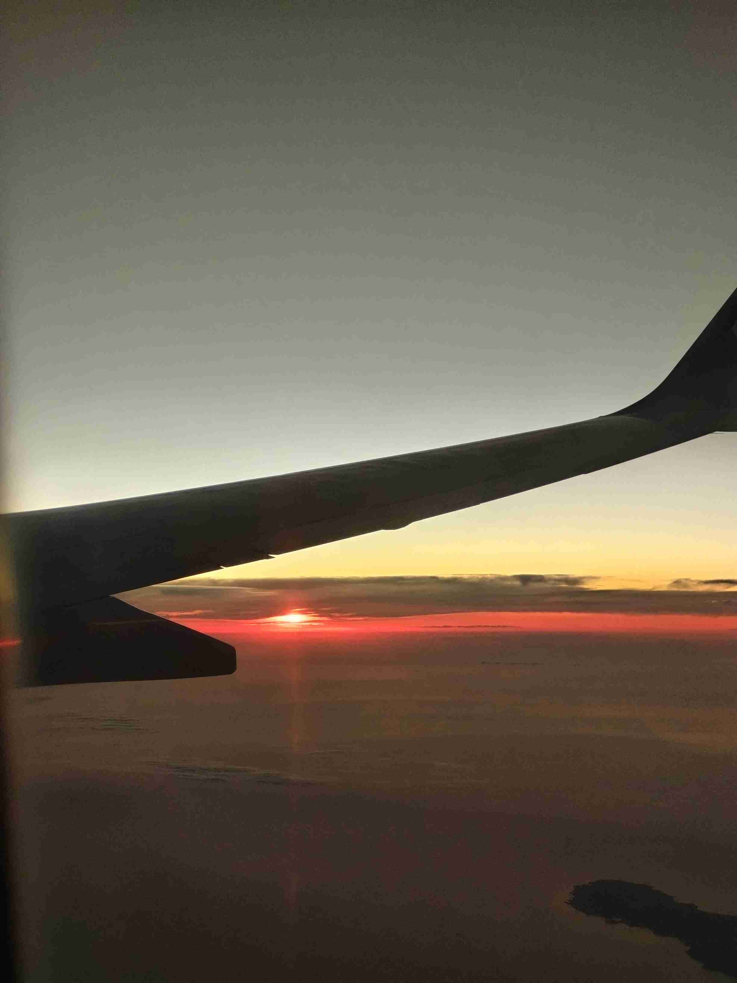 飛行機の好きなところ✈︎