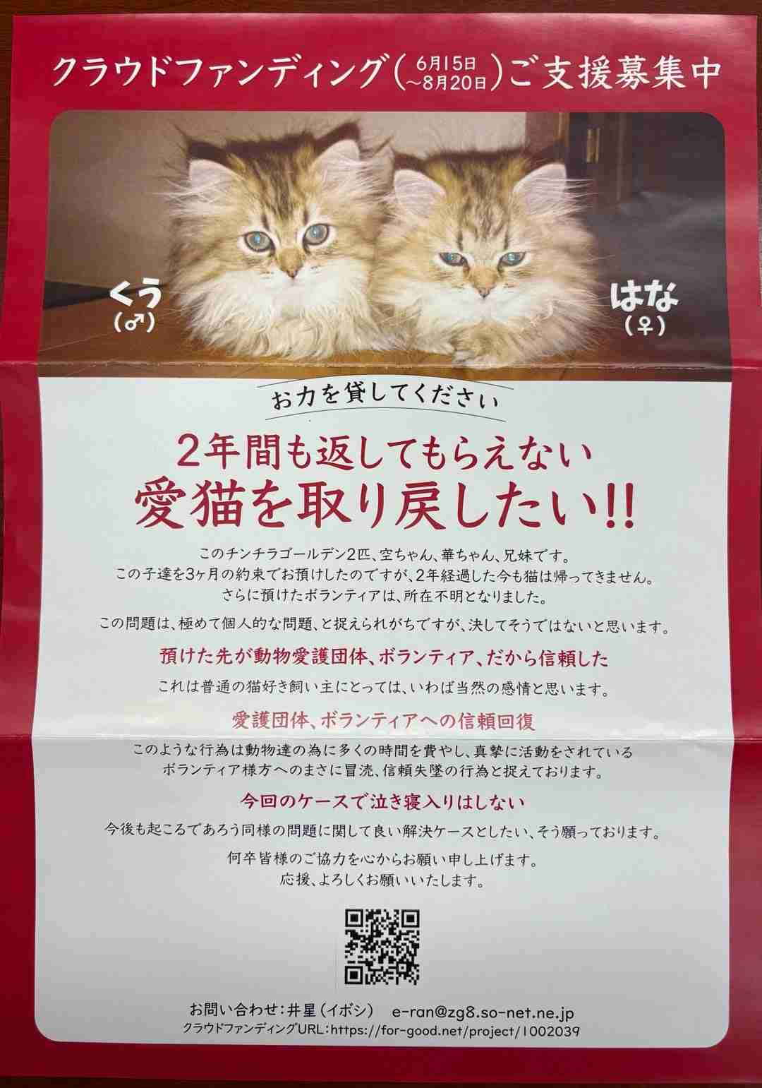 他人の子を長期間預かった事がある人いますか？