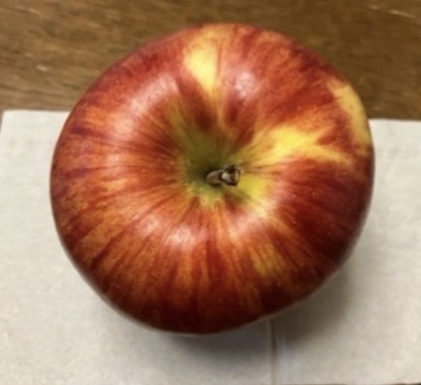 美味しい画像で溢れさせよう!
