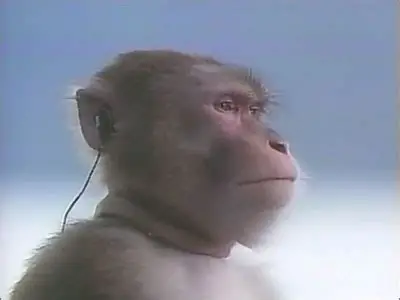 室内でイヤホンをする旦那