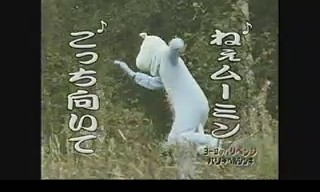 水曜どうでしょう、ってそんなに人気があるんですか?