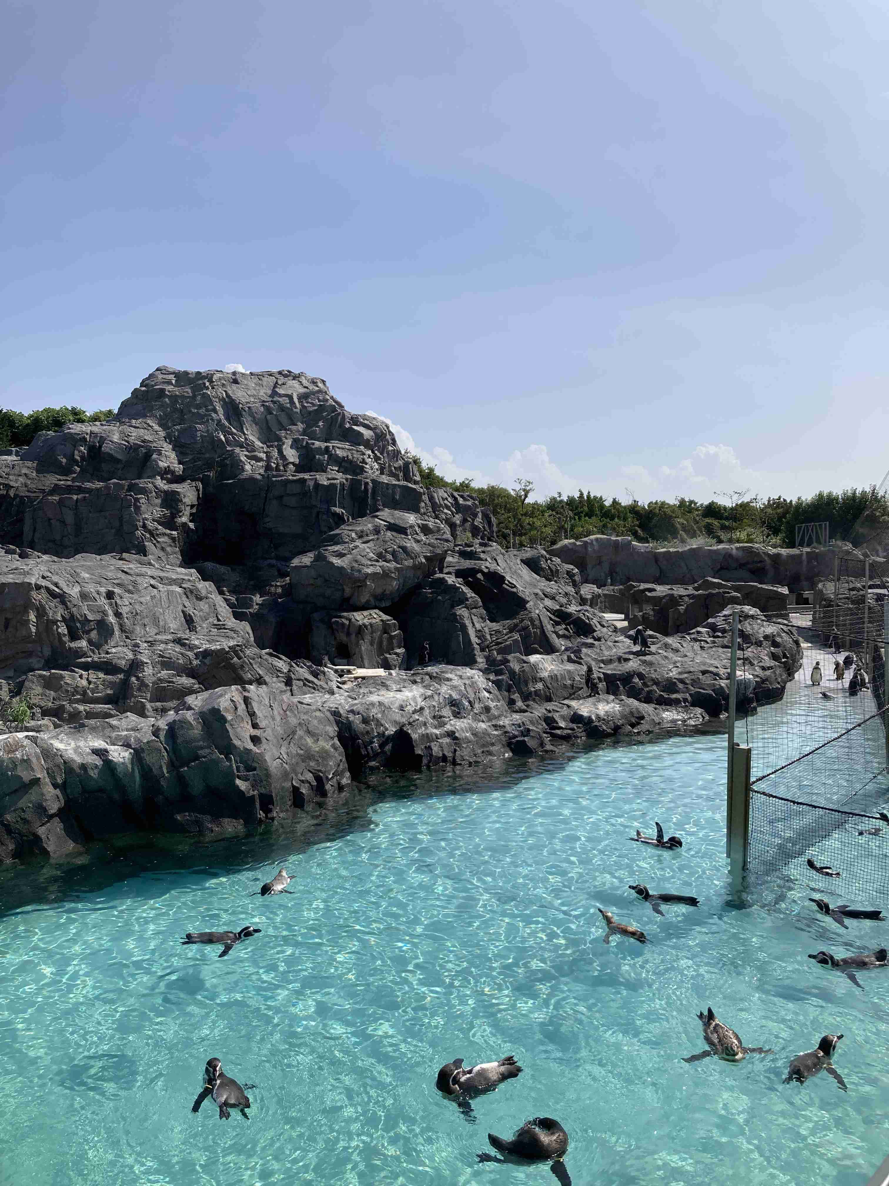 「きえないで」　夏休み明けの子どもたちへ…水族館のメッセージが話題に　園長が明かす真意