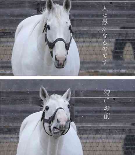 AIに「私を動物に例えたら?」と質問してみたら