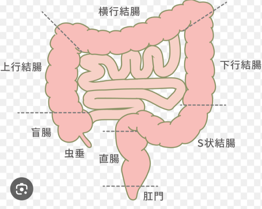 大腸がんについて