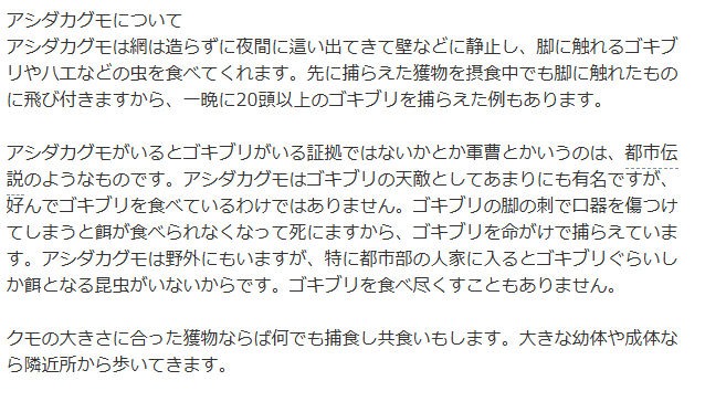 【HELP】巨大蜘蛛が出たーーーーーーーーーーーー