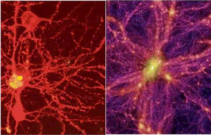 この世が幻想だって本当かしら?