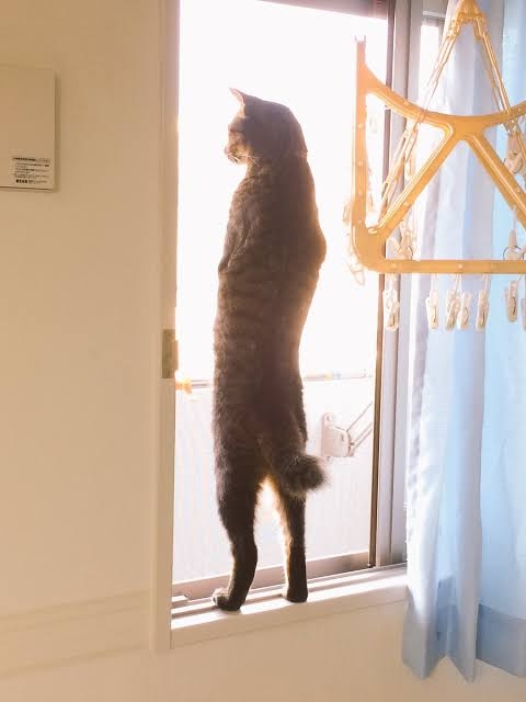 酷い猫背が普通になる方法