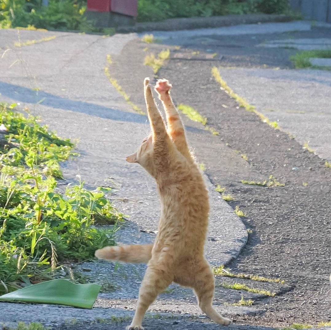 酷い猫背が普通になる方法