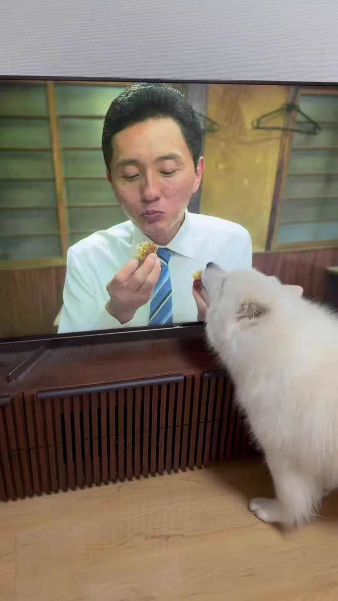 外に極力出たくない人がやりがちな事
