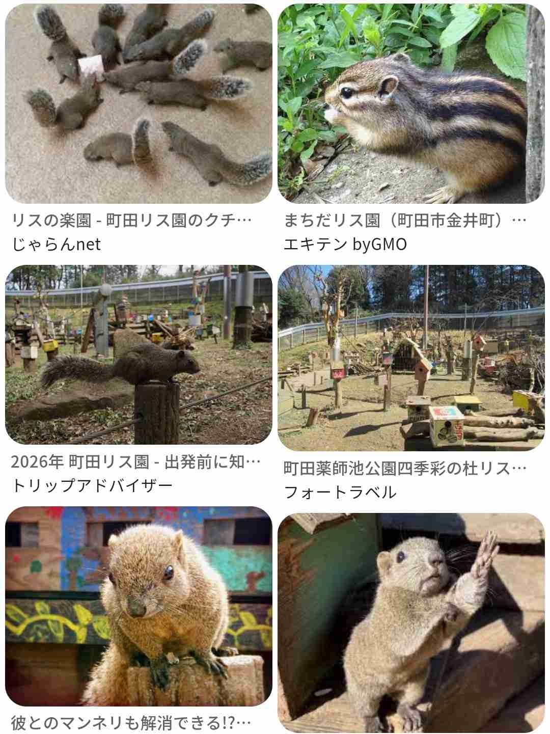 東京の多摩地区観光のおすすめ