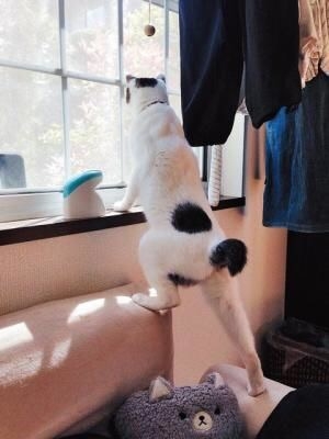「長っ！」と言いたくなる画像