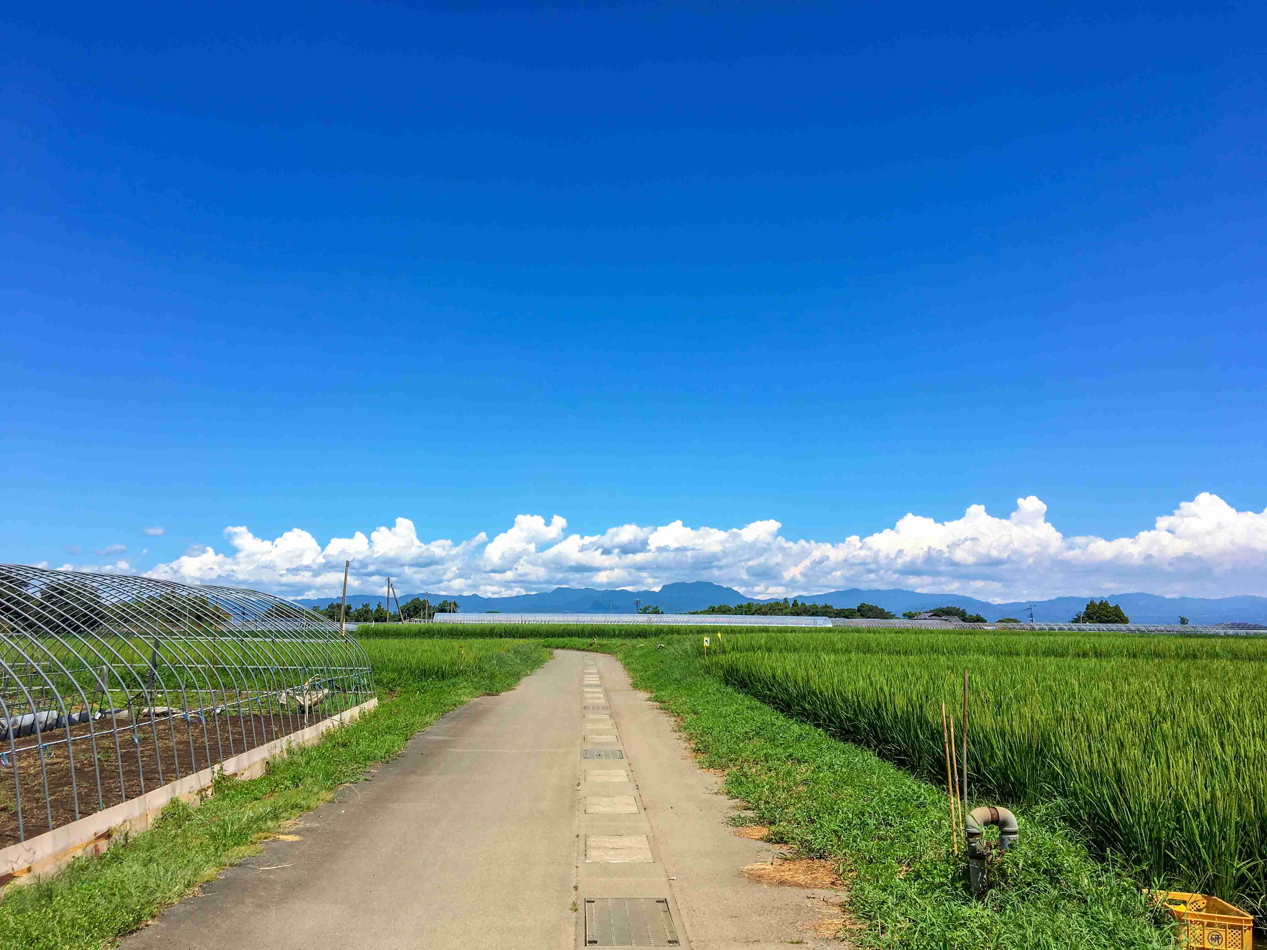 非日常を楽しむには