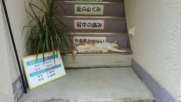 【面倒】先延ばし癖のある人【やる気ない】