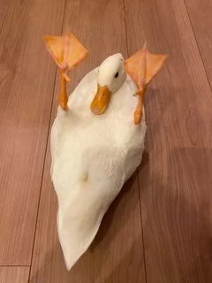 夫が毎日惣菜を買ってくる