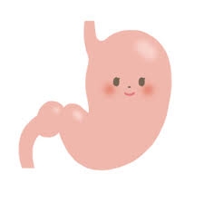 少食な女の人って可愛いですよね