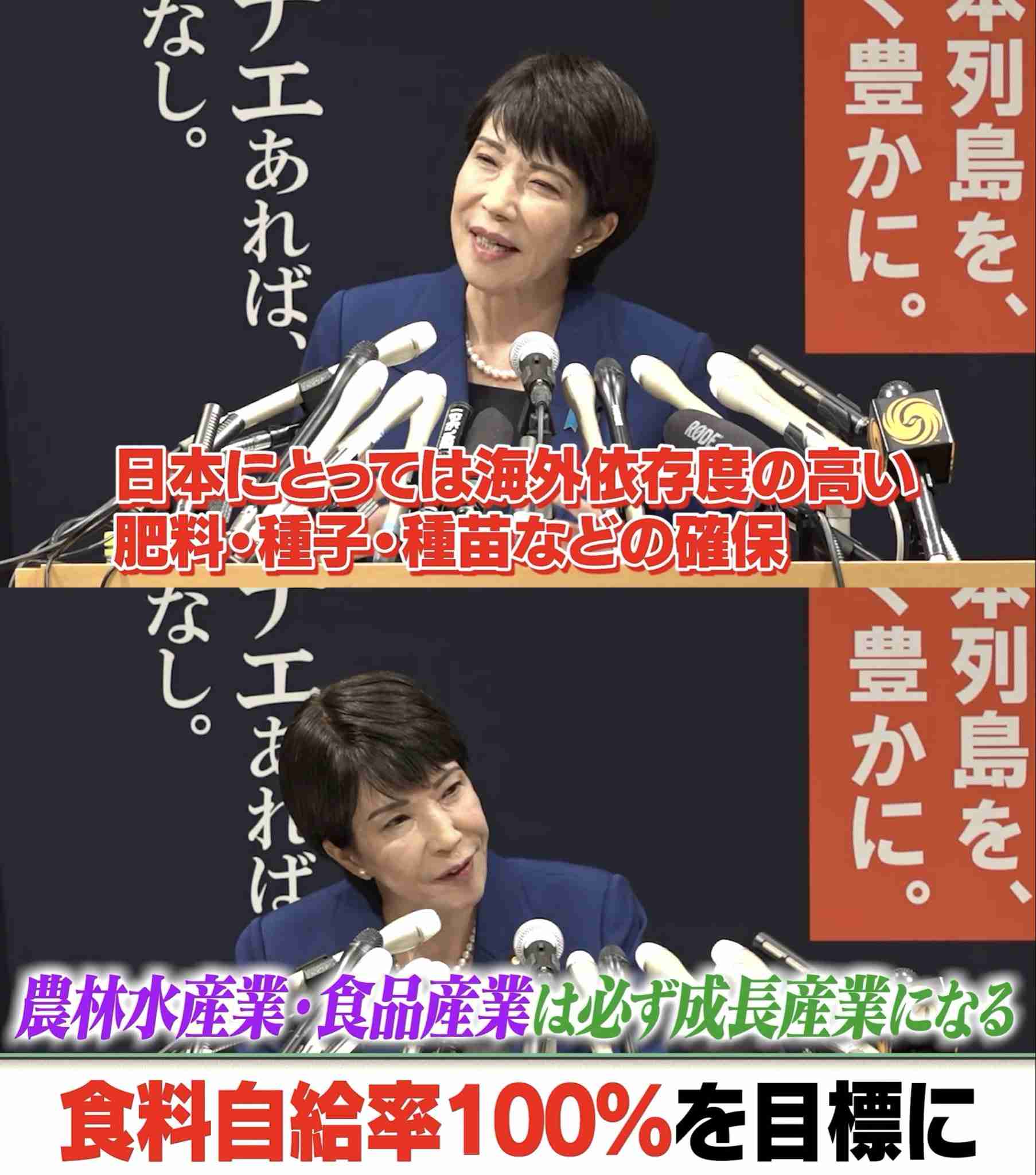 政治トピを見て思うこと