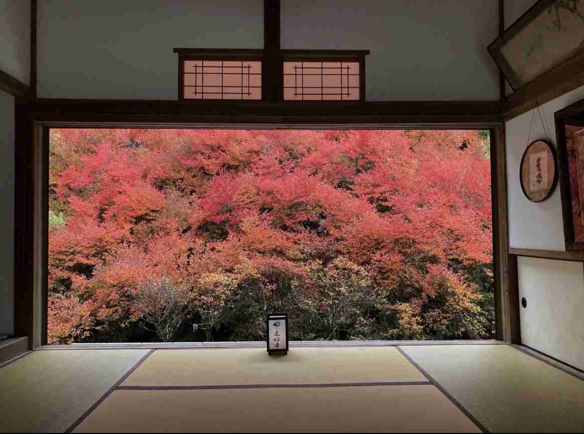 秋のおすすめ観光スポット