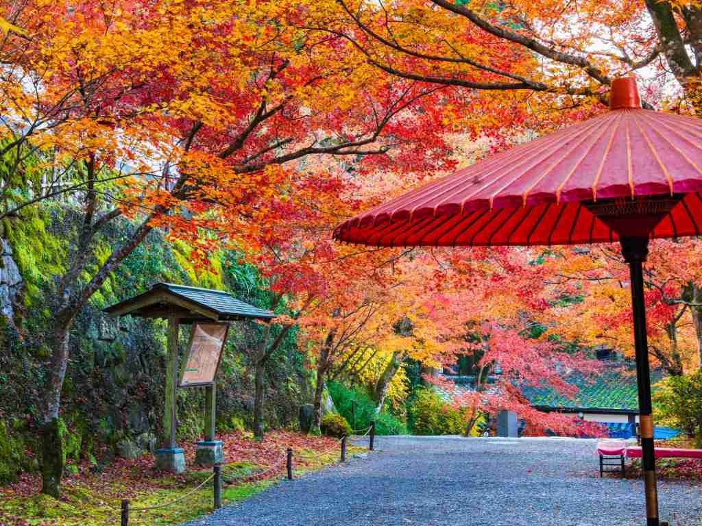 秋のおすすめ観光スポット