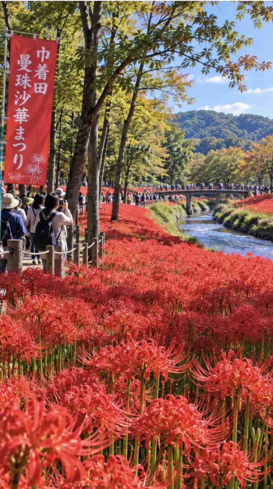 彼岸花の不思議な話・怖い話